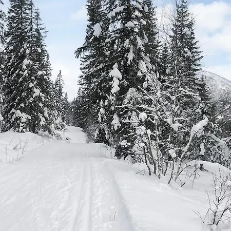 Semesterbostad 8 Person In Hemsedal