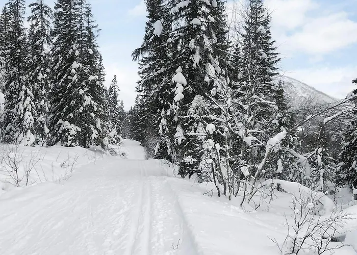 Prázdninový dům 8 Person In Hemsedal